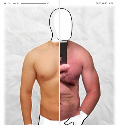 Torso Comparison