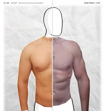 Torso Comparison