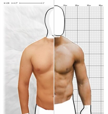 Torso Comparison