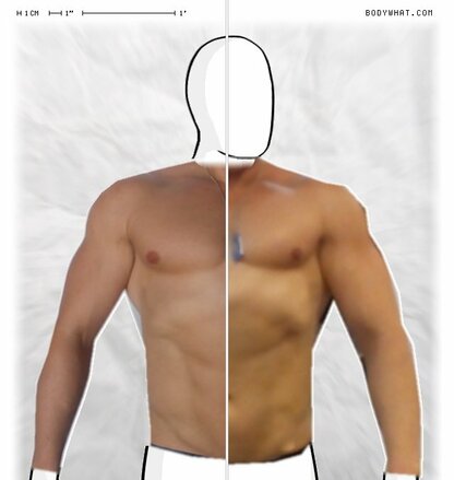 Torso Comparison