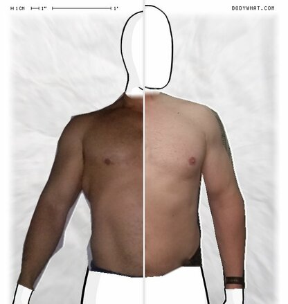 Torso Comparison