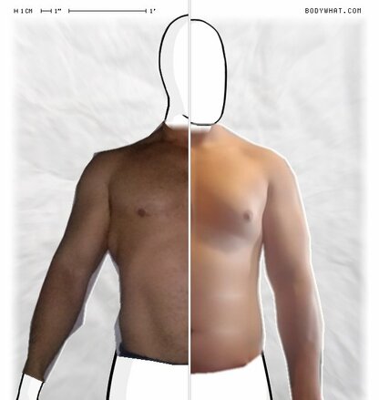 Torso Comparison