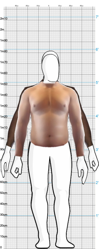 Full Size Comparison