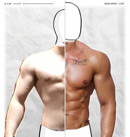 Torso Comparison