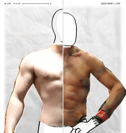 Torso Comparison