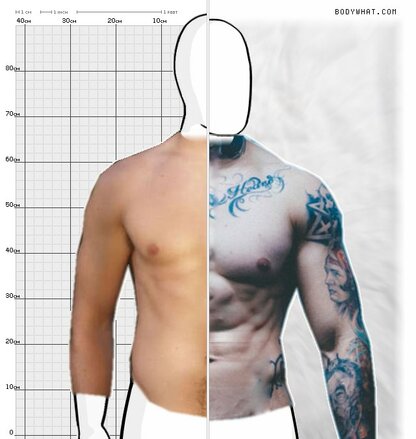 Torso Comparison