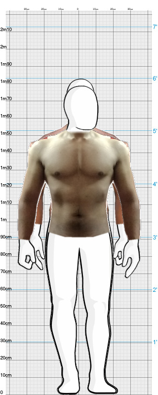 Full Size Comparison