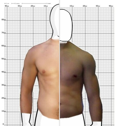 Torso Comparison