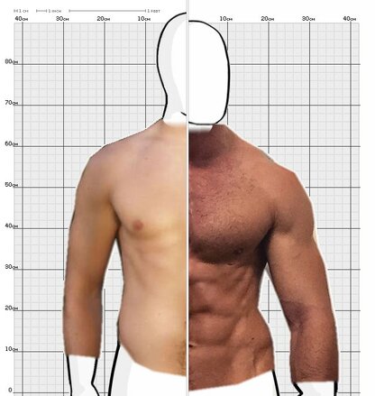 Torso Comparison