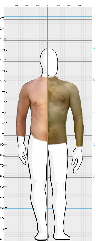 Full Size Comparison