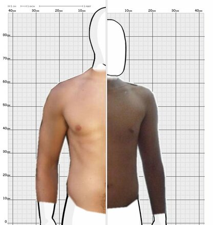 Torso Comparison