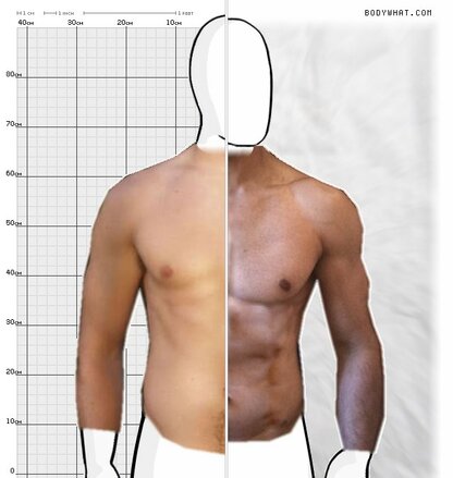 Torso Comparison