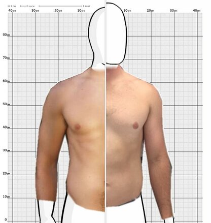 Torso Comparison