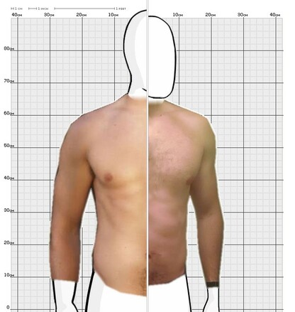 Torso Comparison