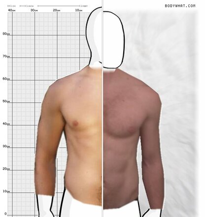 Torso Comparison