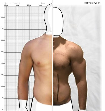 Torso Comparison