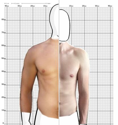 Torso Comparison