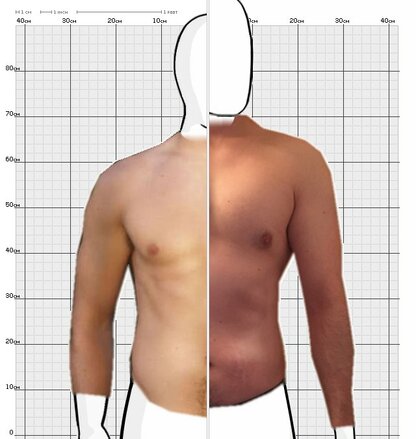 Torso Comparison