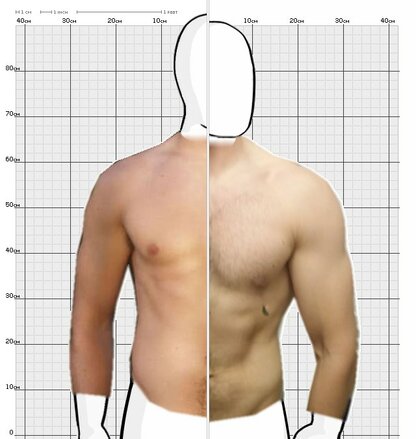 Torso Comparison