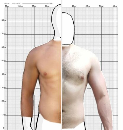 Torso Comparison