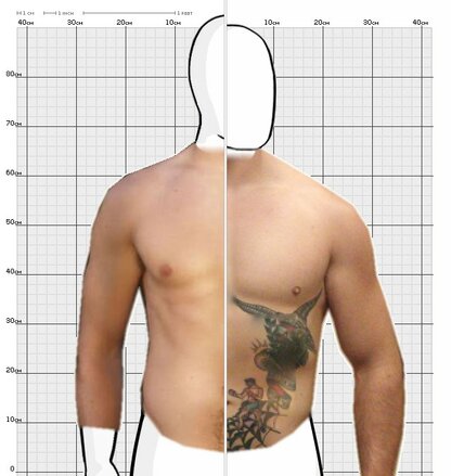 Torso Comparison