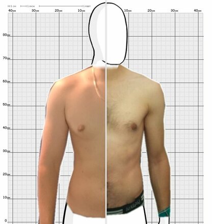 Torso Comparison