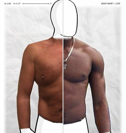 Torso Comparison