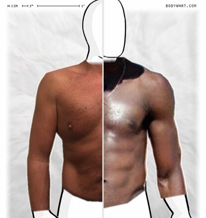 Torso Comparison