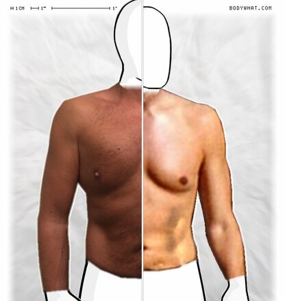 Torso Comparison