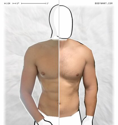 Torso Comparison