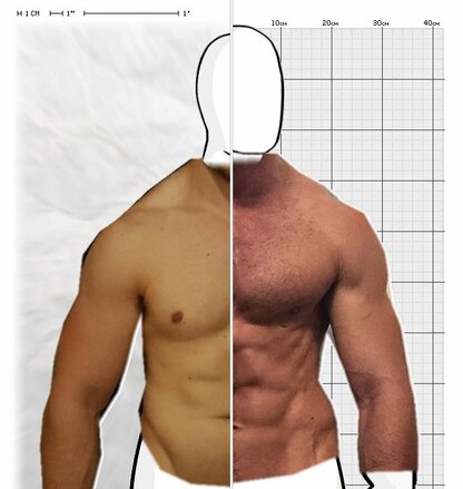 Torso Comparison