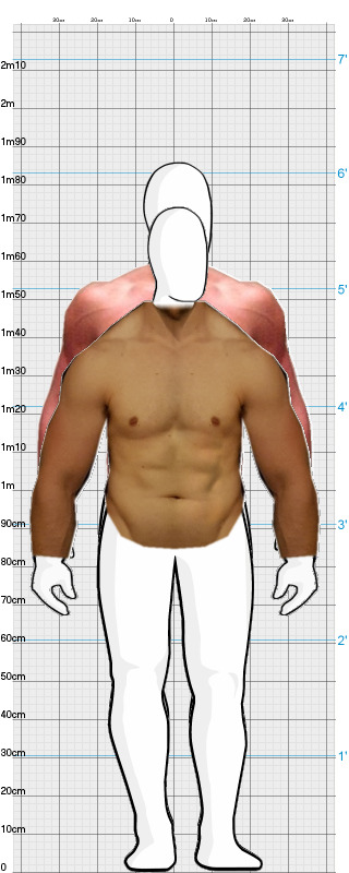 Full Size Comparison