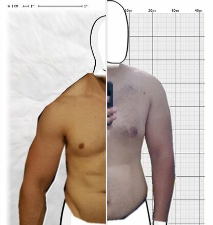 Torso Comparison