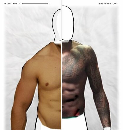 Torso Comparison