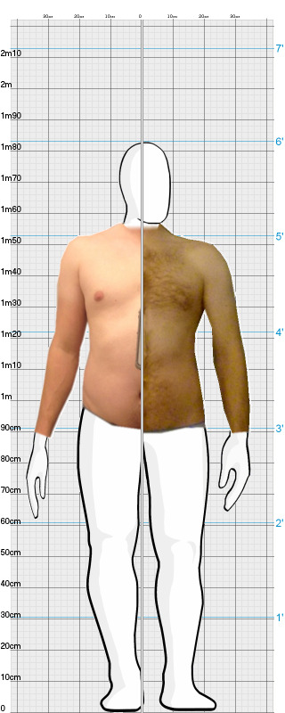 Full Size Comparison