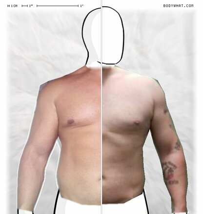 Torso Comparison