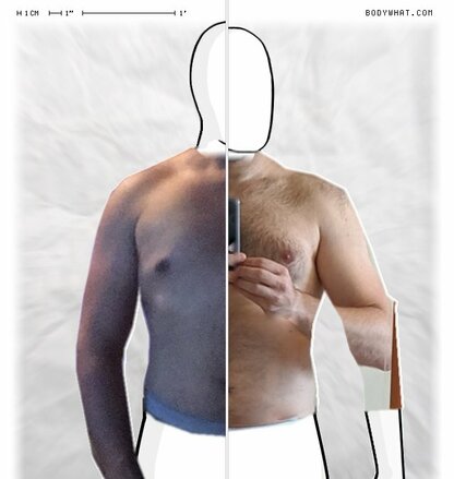 Torso Comparison