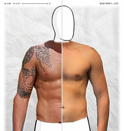 Torso Comparison