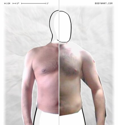 Torso Comparison