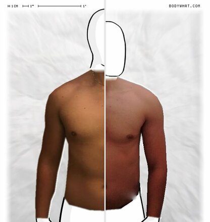 Torso Comparison