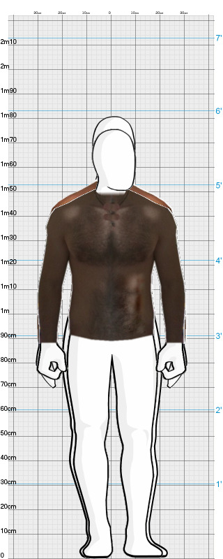 Full Size Comparison