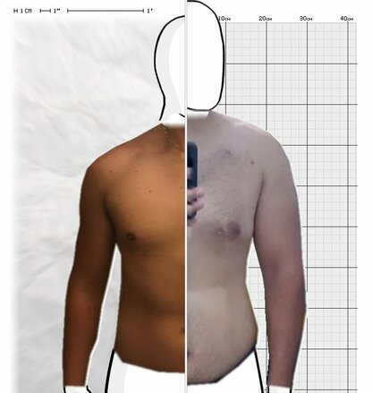 Torso Comparison