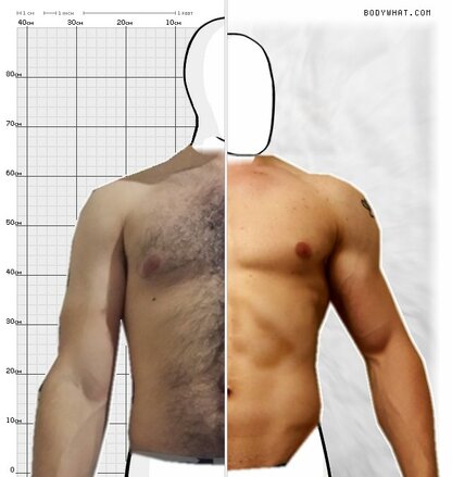 Torso Comparison