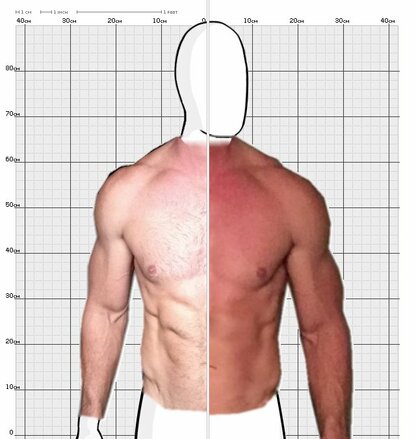 Torso Comparison