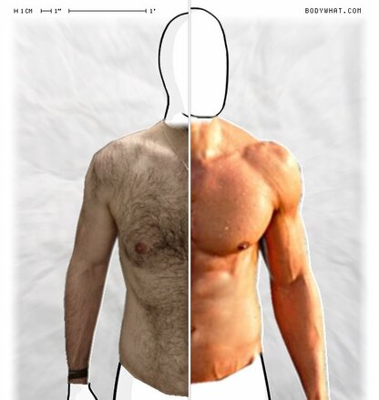 Torso Comparison