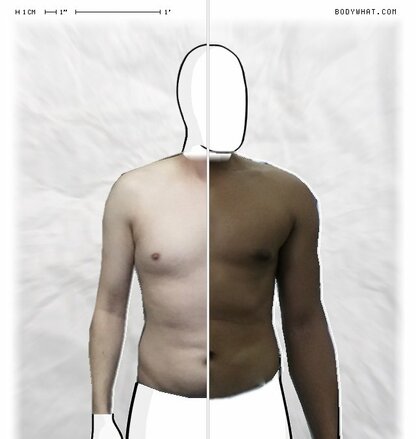 Torso Comparison