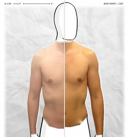 Torso Comparison