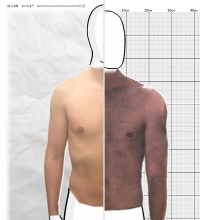 Torso Comparison