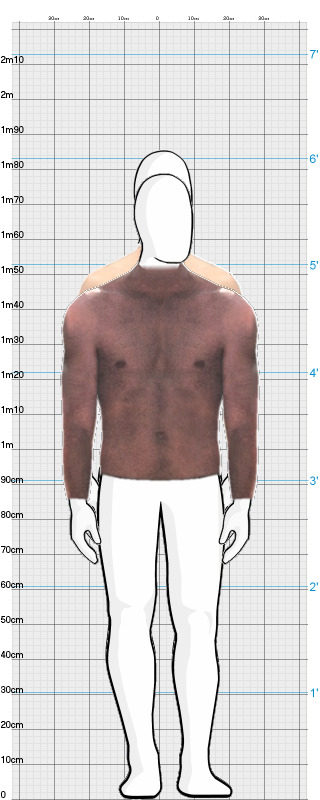 Full Size Comparison