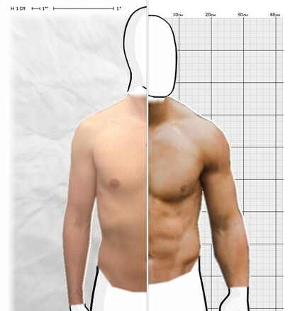 Torso Comparison